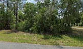 11910 N Monica Dr, Dunnellon, FL 34433