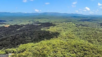 130 Talon Way, Ball Ground, GA 30107