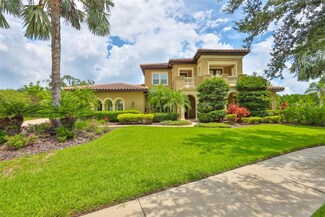 16423 Chapman Crossing Dr, Lithia, FL 33547