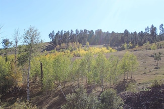 tbd Two Bit Rd Unit OPTION 1, Deadwood, SD 57732