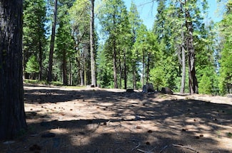 3112 Apache Rd, Arnold, CA 95223