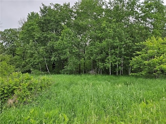 20 Acres Lyons Rd, Sioux Creek, WI 54728