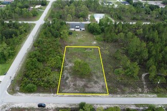 1003 Canton Ave, Lehigh Acres, FL 33972