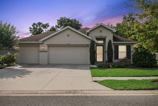 6555 Sparkling Way, Wesley Chapel, FL 33545