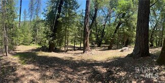 15675 Bottle Rock Rd, Cobb, CA 95426