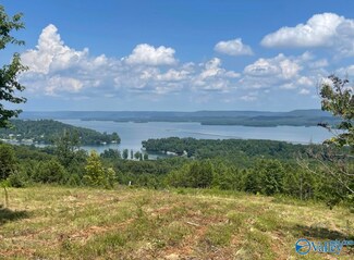 26 AC Benson Rd, Scottsboro, AL 35769