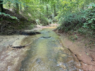 0 County Road 17, Franklin, AL 36083