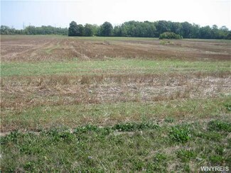 VL Walmore Rd (2 Acres), Lewiston, NY 14132