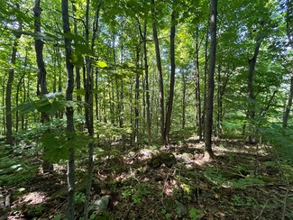 0 Rand Hill Rd Unit 202698, Altona, NY 12910
