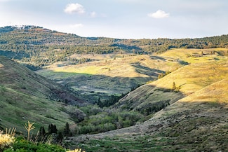 2216 Little Weiser River Rd, Indian Valley, ID 83632