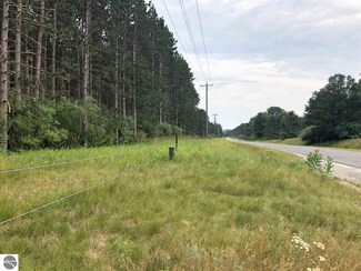 Parcel A-B S Rolland Rd, Lake Isabella, MI 48893