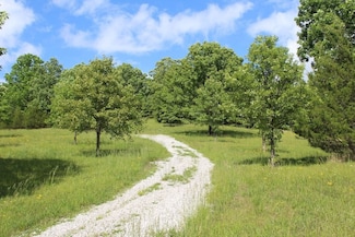 4422 Reese Hurt Rd, Sulphur Well, KY 42129