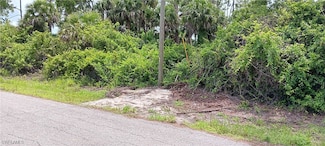 610 Wabasso Ave S, Lehigh Acres, FL 33974