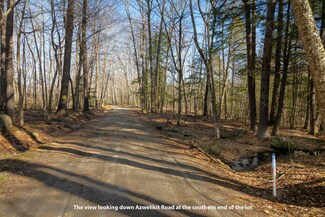 Lot 11-3 Azwelikit Rd, Casco, ME 04015