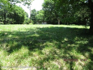 7206 Peyton Rd, Coldwater, MS 38618