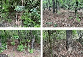 NONE OR ZERO S Jeff Davis Dr, Fayetteville, GA 30214