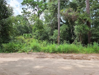 0 SE 191 Terrace, Ocklawaha, FL 32179