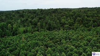 Tract 11 Cook Ln, Cromwell, KY 42333