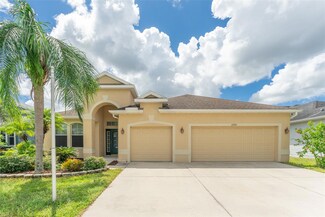 10741 Rockledge View Dr, Riverview, FL 33579
