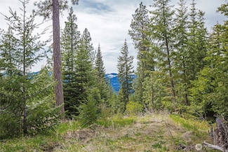 0 Lot H R&r Heights Dr, Roslyn, WA 98941