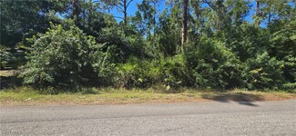 110 Wellington Ave, Lehigh Acres, FL 33936