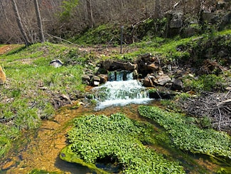 25598 C-228 Tract 1, Norwood, MO 65717