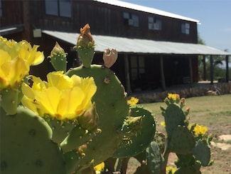 9101 County Road 123, Cross Plains, TX 76443