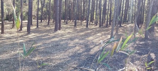 0 Millers Rd, Mullins, SC 29574