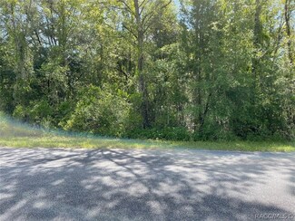 LOT 30 SW Grandview Ave, Dunnellon, FL 34431