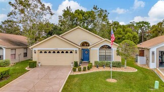 11390 Deercroft Ct, Spring Hill, FL 34609