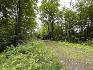220 Buck Hill Rd, Westfield, VT 05874