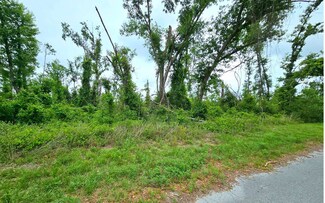 19 SW Doe Rd, Mayo, FL 32066