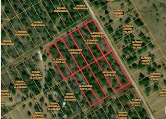 TBD SW Cr 4048, Dawson, TX 76639