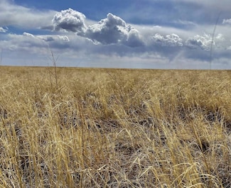 TBD County Rd E, Haswell, CO 81045