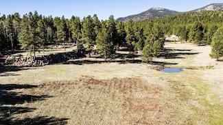 Tbd Highway 434, Angel Fire, NM 87710
