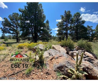 Lot 19 Red Cabin Ranch Unit Deer Trail, Vernon, AZ 85940