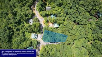Ts#1619 E View Dr, Sevierville, TN 37876