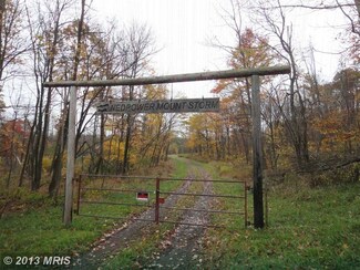 1 Grassy Ridge Road Driveway, Mount Storm, WV 26739
