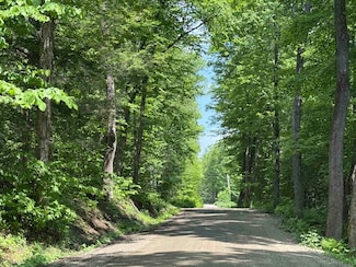 251 Phillips Hill Rd, West Halifax, VT 05358
