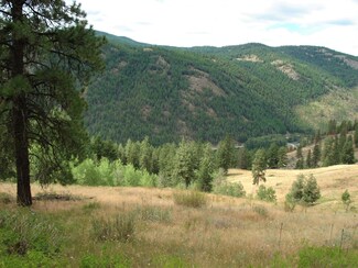 TBD Coralee Loop, Curlew, WA 99118