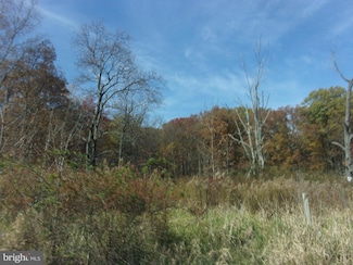 18207 Williams Rd SE Unit SE, Flintstone, MD 21530