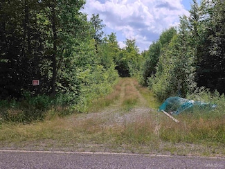 13856 N Section 16 Rd, Covington Township, MI 49919