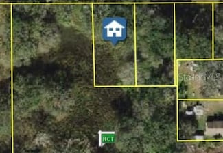 0 E Diana St Unit MFRTB8348872, Tampa, FL 33610