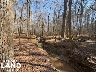 0 Turkey Mountain Trail Unit 22734299, Monroe, GA 30656