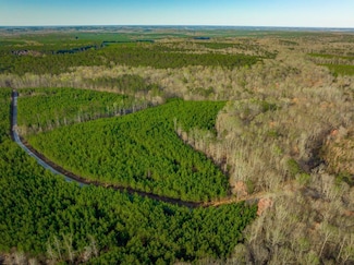 0 Narrow Bridge Rd, Chester, SC 29706