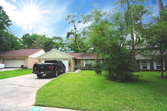 20 N Greenbud Ct, Spring, TX 77380