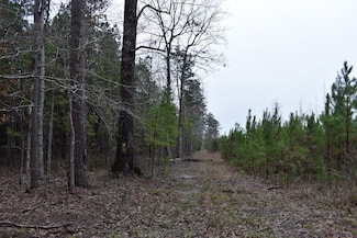 0 U S Highway 167 Unit LotWP001 20598325, Thornton, AR 71766