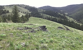 0 Nhn McLaughlin Creek Rd, Paradise, MT 59856