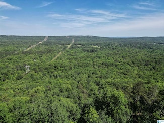 315 Lake View Cir, Vandiver, AL 35176