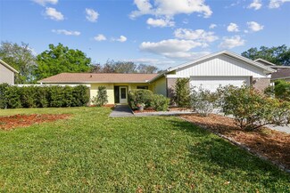 4015 Mountain Springs Ln, Tampa, FL 33624
